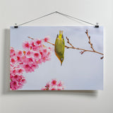 Early spring Poster och Canvastavla