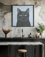 The Cat's Whisker Poster och Canvastavla