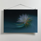 Orchid cactus Poster och Canvastavla