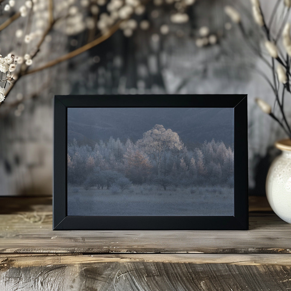 Autumn and winter in close proximity Poster och Canvastavla
