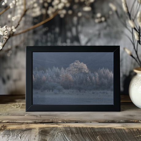 Autumn and winter in close proximity Poster och Canvastavla