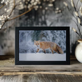 Snowy day Poster och Canvastavla