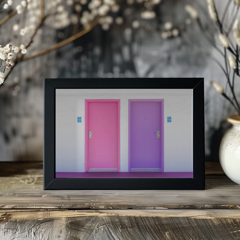 Pink and Purple Doors at the Saguaro Poster och Canvastavla