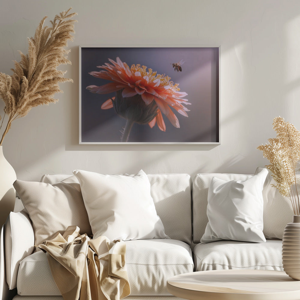 Bee Flying on the Flower Poster och Canvastavla