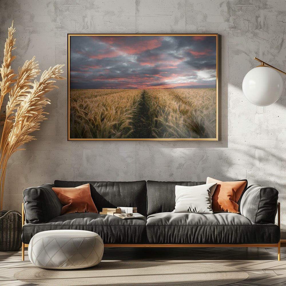 Somewhere Poster och Canvastavla