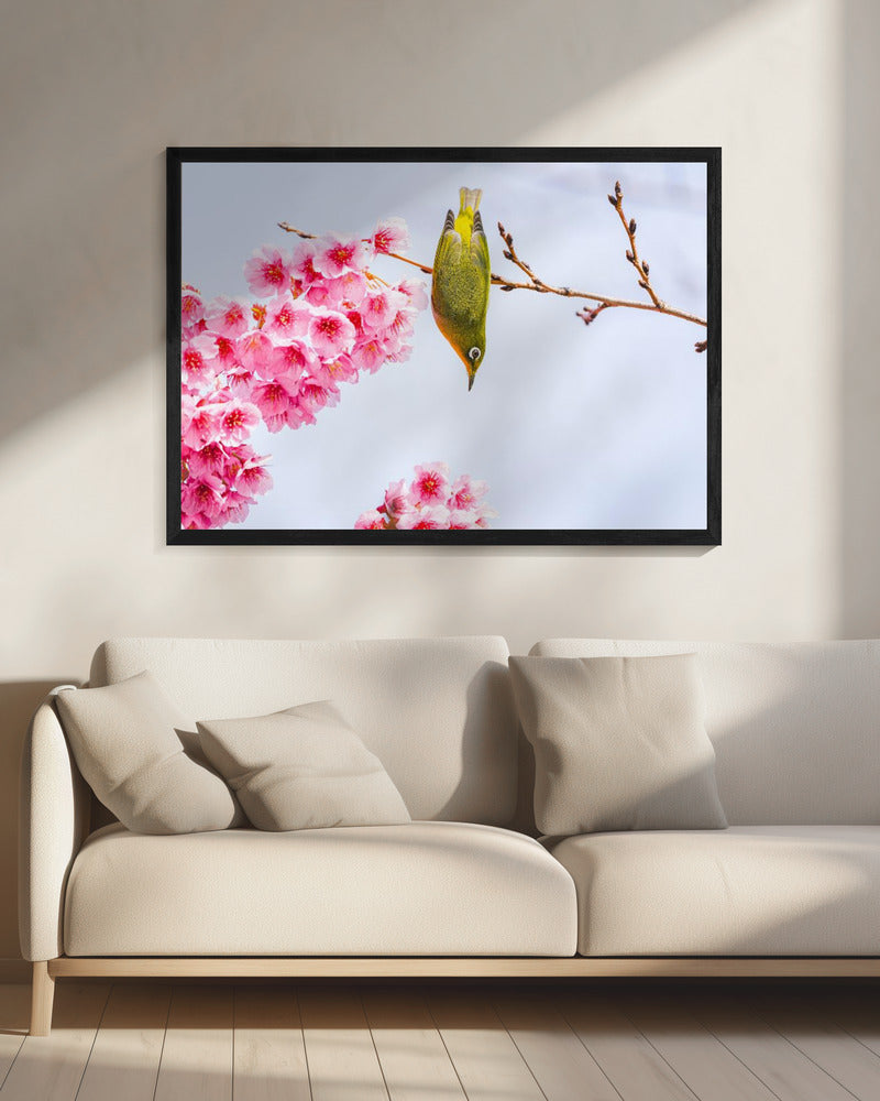 Early spring Poster och Canvastavla