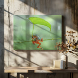 pair of green frogs Poster och Canvastavla