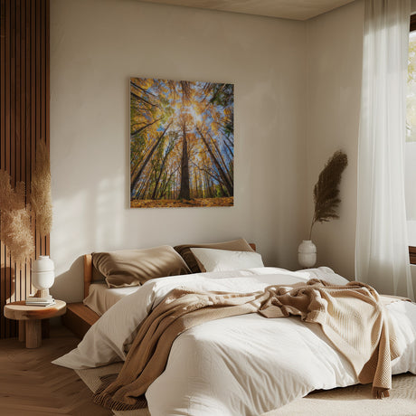 Otoño en Sesué Poster och Canvastavla
