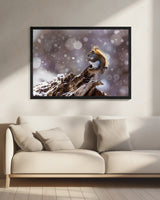 The Magic Squirrel Poster och Canvastavla