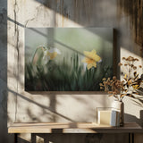narcissuss in rain Poster och Canvastavla