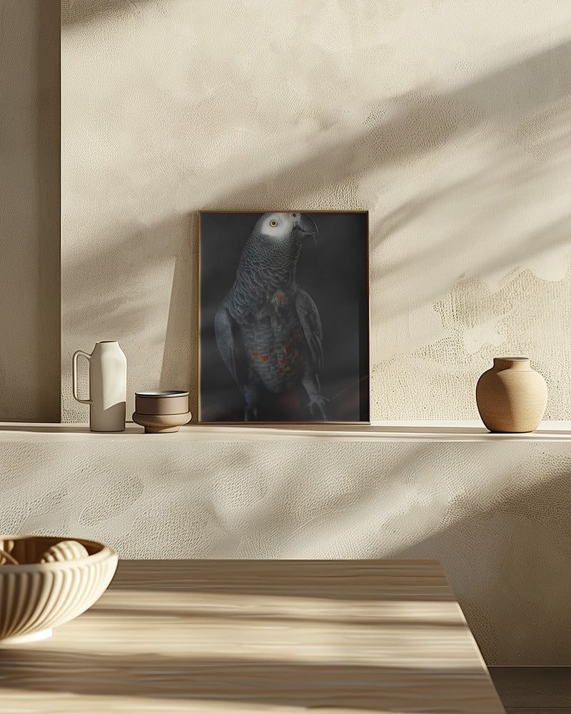 Portrait of Cornelia Poster och Canvastavla