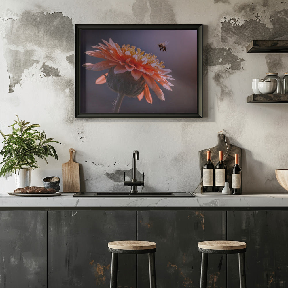Bee Flying on the Flower Poster och Canvastavla