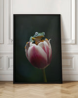 Cute Flying Frog Poster och Canvastavla