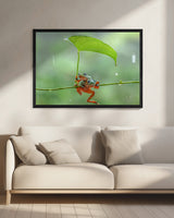 pair of green frogs Poster och Canvastavla