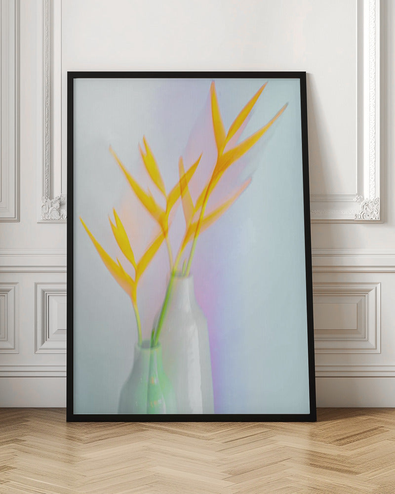 Still life with flower (Heliconia) Poster och Canvastavla