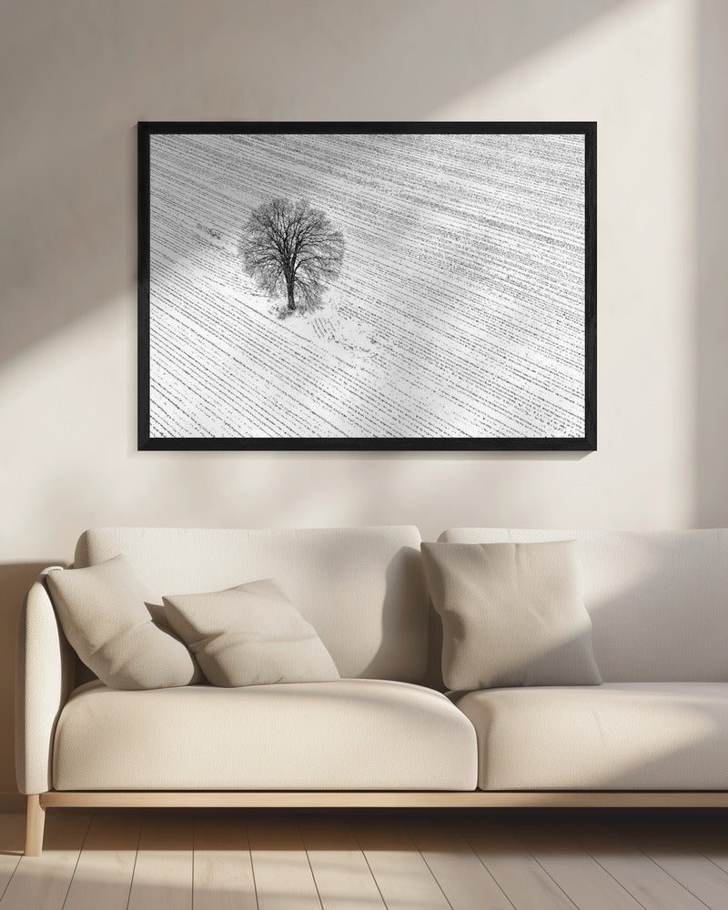 The Bare Tree Poster och Canvastavla