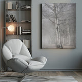 Misty tree Poster och Canvastavla