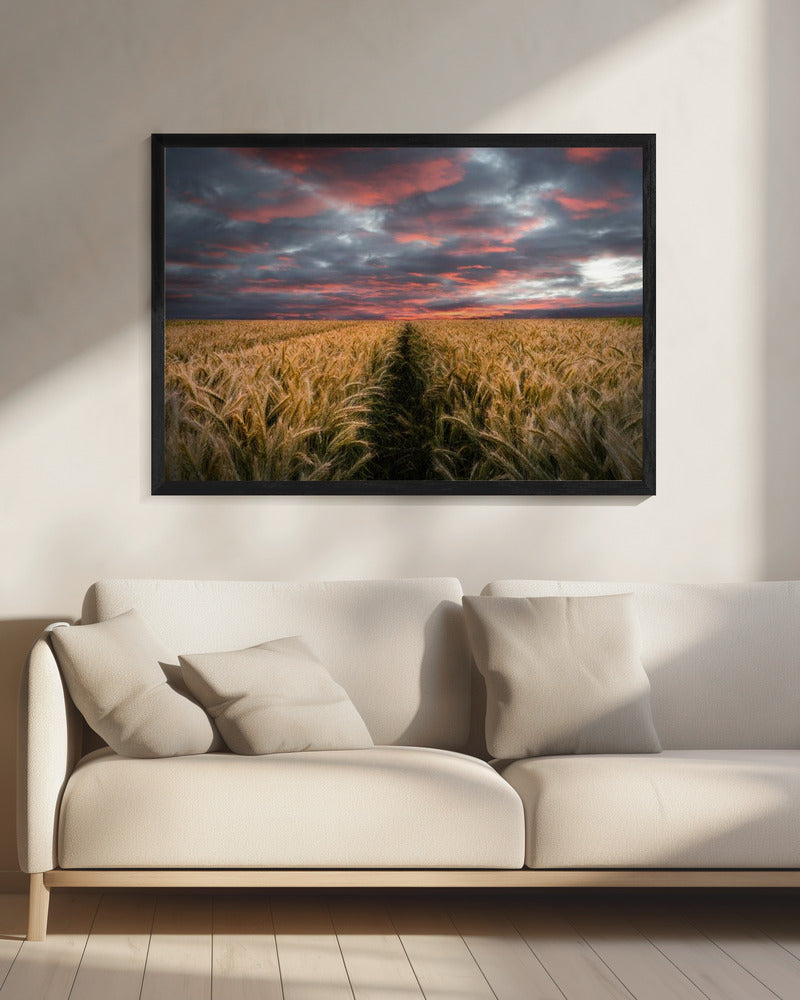 Somewhere Poster och Canvastavla