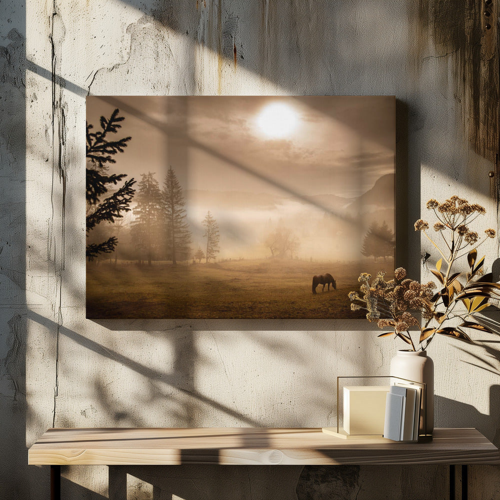 Fog in the Bicajel Gorges Poster och Canvastavla