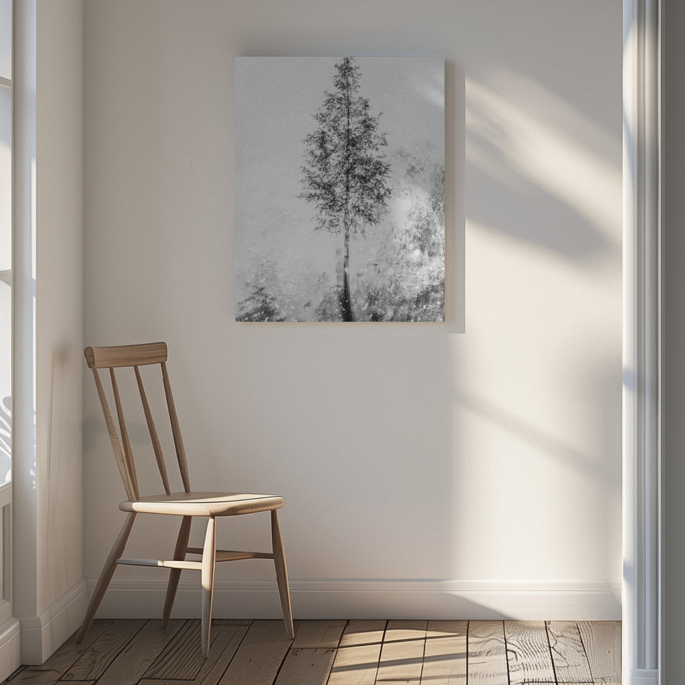 Woven natural dreams black & white Poster och Canvastavla