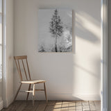 Woven natural dreams black & white Poster och Canvastavla