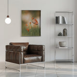 Butterfly Poster och Canvastavla