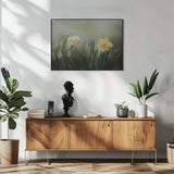 narcissuss in rain Poster och Canvastavla