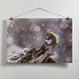 The Magic Squirrel Poster och Canvastavla