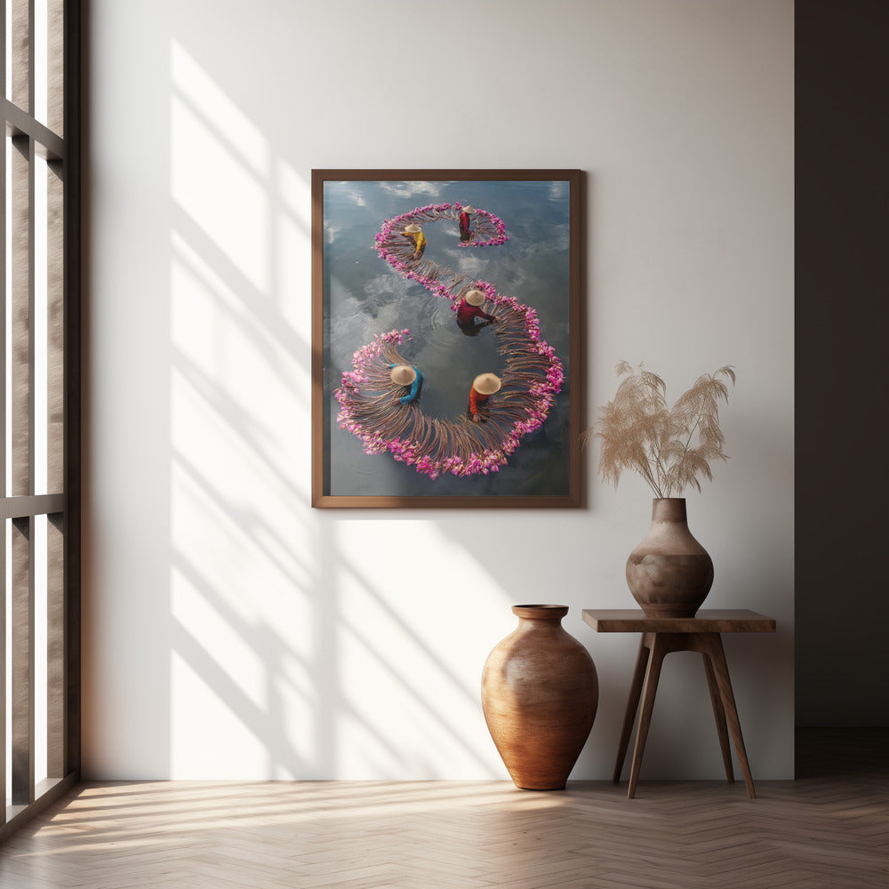 Harvesting Water Lily Poster och Canvastavla