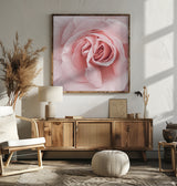 Pink Rose Poster och Canvastavla