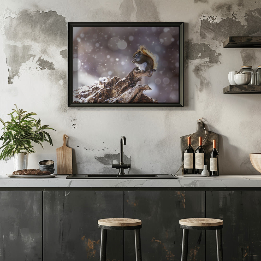 The Magic Squirrel Poster och Canvastavla
