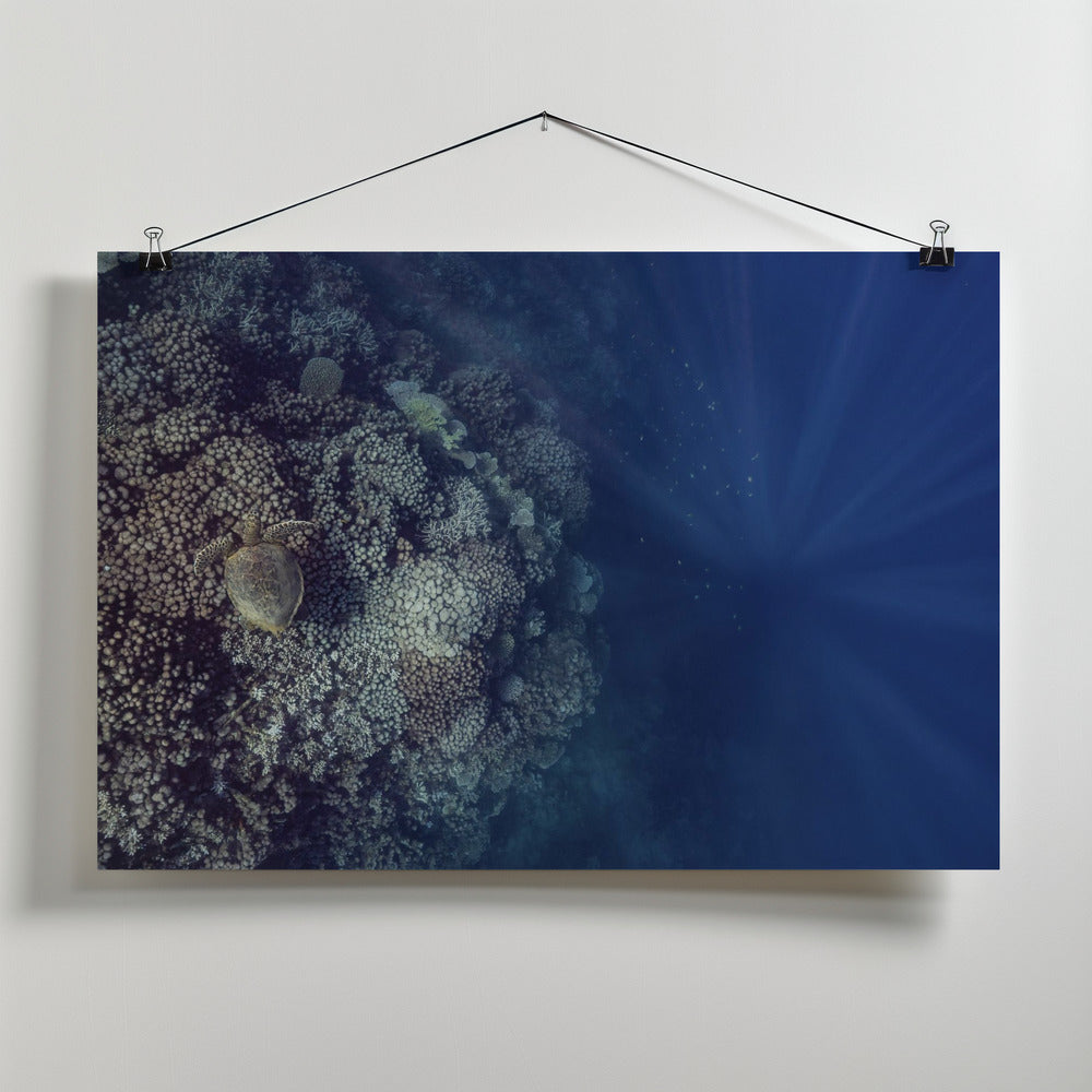 How deep is your love Poster och Canvastavla