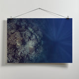 How deep is your love Poster och Canvastavla