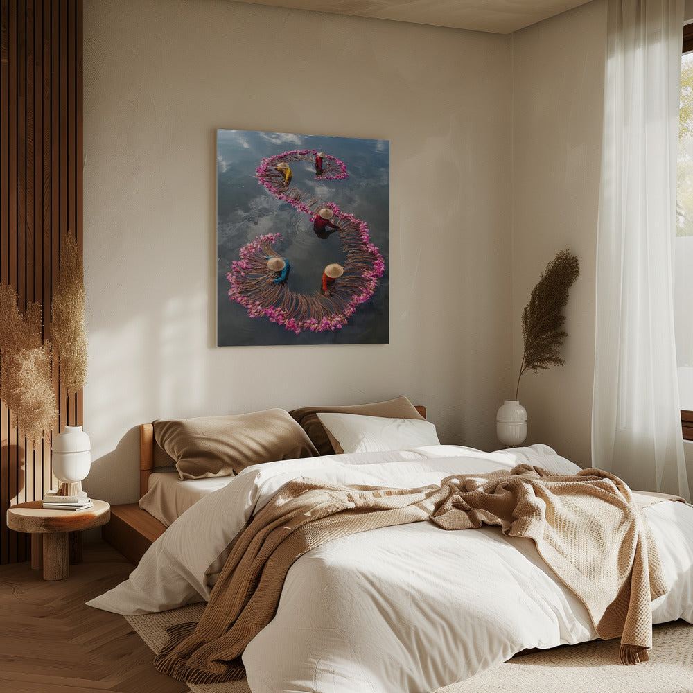 Harvesting Water Lily Poster och Canvastavla