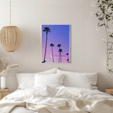Palm Tree Sunset Poster och Canvastavla