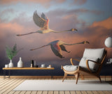 Flamingos at sunset Poster och Canvastavla