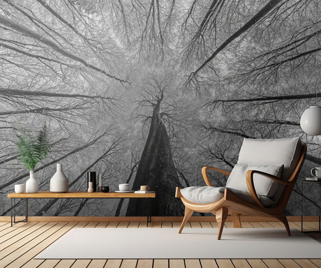 Winter views Poster och Canvastavla