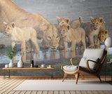 Wariness at the water hole Poster och Canvastavla