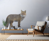 Red fox Poster och Canvastavla