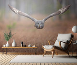 Great grey owl Poster och Canvastavla