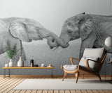 Confrontation Poster och Canvastavla