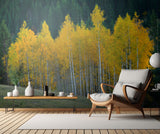 Autumn Poster och Canvastavla