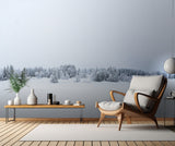 The kingdom of silence Poster och Canvastavla