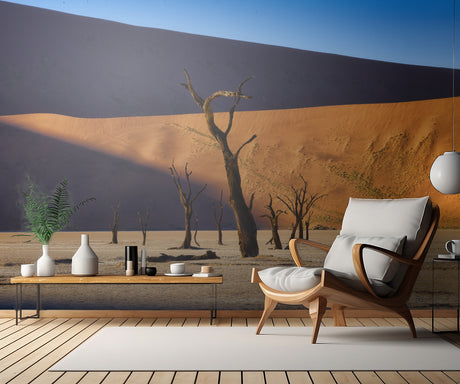 Deadvlei Poster och Canvastavla