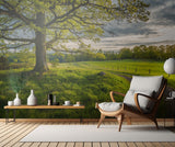 Road in nature Poster och Canvastavla