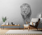 The King of The Prairie Poster och Canvastavla