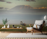 The magic of Amboseli Poster och Canvastavla
