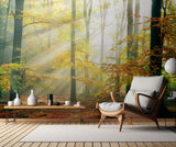 Sinfonia della Foresta Poster och Canvastavla