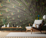Wild Beauty Poster och Canvastavla