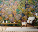 Autumn firework 2 Poster och Canvastavla